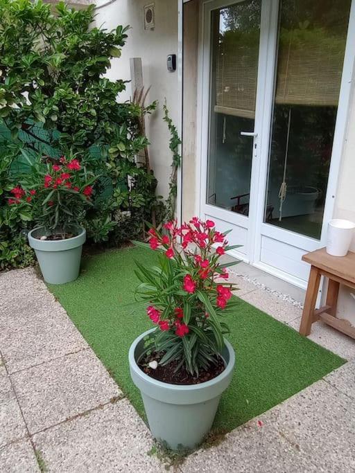Rivahome